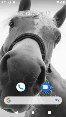 Horse Wallpaper HD android App screenshot 0