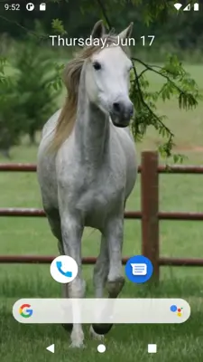 Horse Wallpaper HD android App screenshot 1