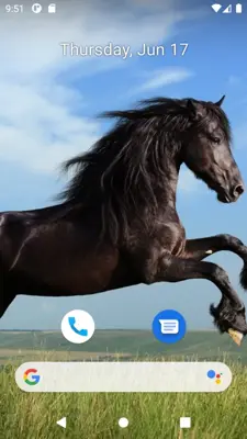 Horse Wallpaper HD android App screenshot 2