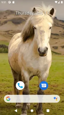 Horse Wallpaper HD android App screenshot 3