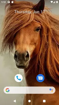 Horse Wallpaper HD android App screenshot 4