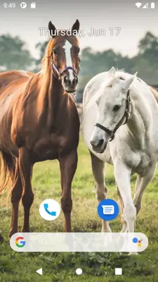 Horse Wallpaper HD android App screenshot 5