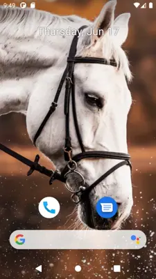 Horse Wallpaper HD android App screenshot 6