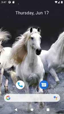 Horse Wallpaper HD android App screenshot 7