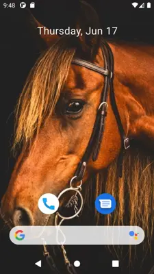 Horse Wallpaper HD android App screenshot 8